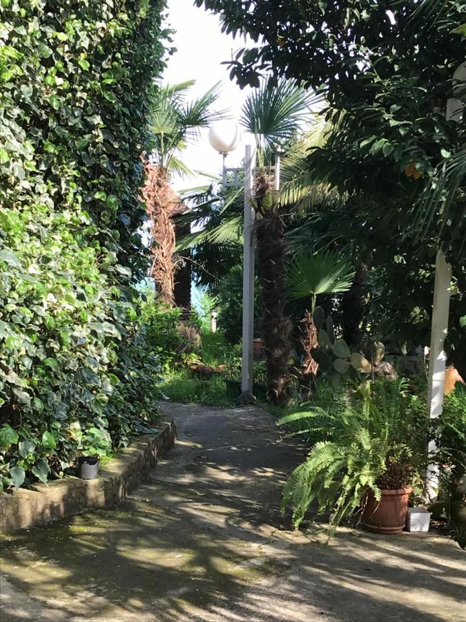 Hotel Feride Machindżauri Zewnętrze zdjęcie