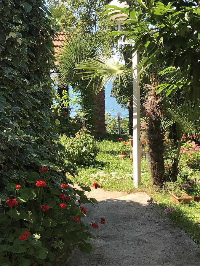Hotel Feride Machindżauri Zewnętrze zdjęcie