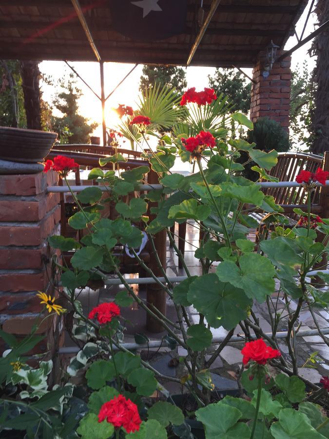 Hotel Feride Machindżauri Zewnętrze zdjęcie